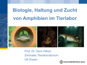 Zucht und Haltung von Amphibien in der biomedizinischen Forschung