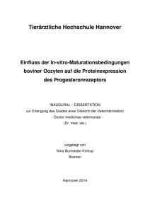 Tierärztliche Hochschule Hannover Einfluss der In