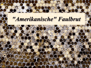 Faulbrut - Bayerische Landesanstalt für Weinbau und Gartenbau
