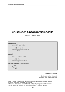 PDF 500 kb - Markus Schieche
