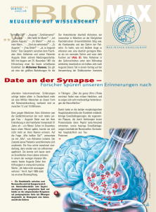 Date an der Synapse - Max-Planck