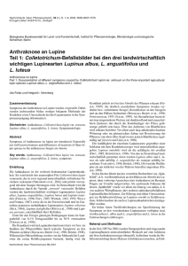 Anthraknose an Lupine Teil 1: Colletotrichum