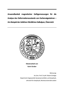 Masterarbeit Gruber 2010 als PDF