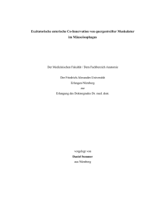 DanielSommerDissertation
