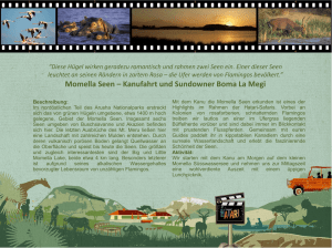 Momella Seen – Kanufahrt und Sundowner Boma La