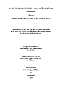 Dissertation Boris Müller