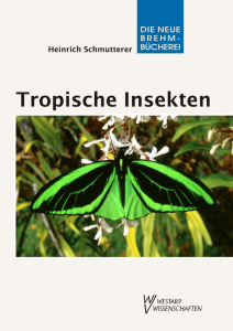 Leseprobe - Tropische Insekten - Meisterwerke der