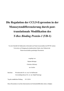 Regulation der CCL5-Expression durch das Kälteschockprotein YB