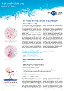 HPV in situ-Hybridisierung mit ZytoFast