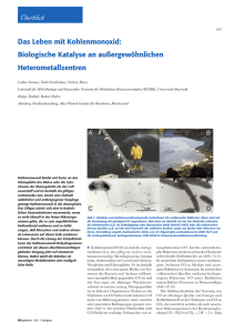 Das Leben mit Kohlenmonoxid: Biologische Katalyse