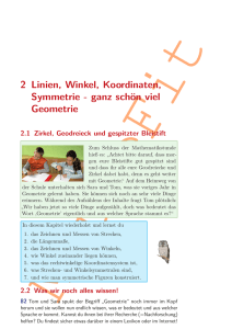 2 Linien, Winkel, Koordinaten, Symmetrie - ganz