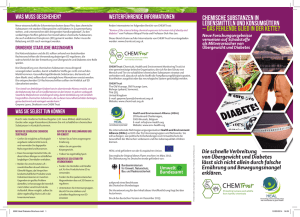 6990 Heal Diabetes Brochure.indd - Health and Environment Alliance