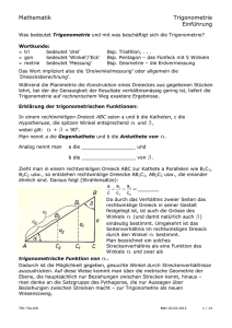 Mathematik Trigonometrie Einführung