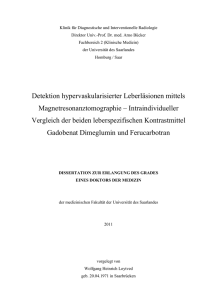 Detektion hypervaskularisierter Leberläsionen mittels