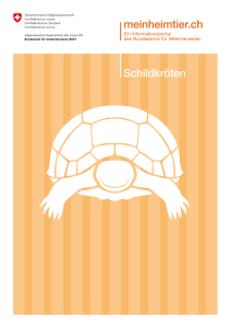 Schildkröten - Tierdatenbank