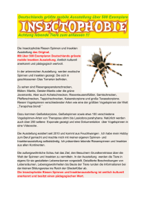 Die Insectophobie Riesen Spinnen und Insekten