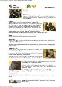 Gorilla - SWR Kindernetz