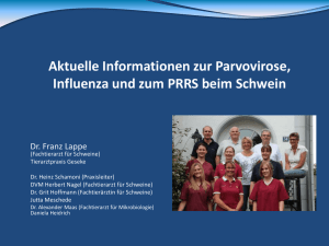 Parvovirose-Influenza-PRRS | Lappe 2014 - vivet