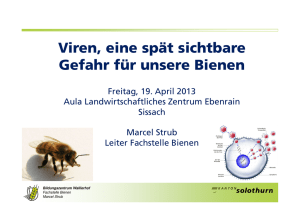 Was sind Viren - Bienenzüchterverband Beider Basel