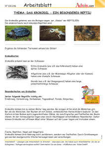 100246_Arbeitsblatt_Das Krokodil - ein besonderes Reptil