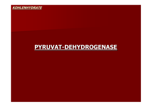 pyruvat-dehydrogenase - Biochemie Trainingscamp