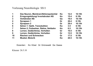 NeuroVorlseung_1_SS2011 - Goethe University Frankfurt