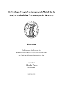 Die Taufliege Drosophila melanogaster als Modell f&uuml;r die Analyse