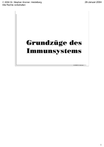 Grundzüge des Immunsystems - Gromer