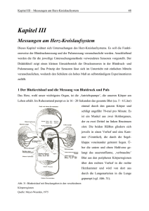 als pdf, 2,0 MB - Prof. Dr. Thomas Wilhelm