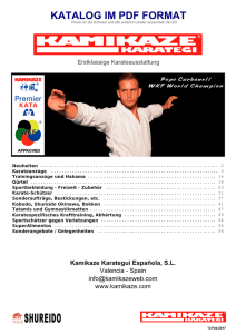 NEU: PDF-Katalog