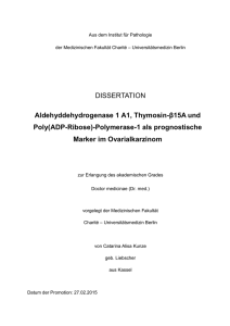 Dokumentvorlage für Dissertationen u.ä.