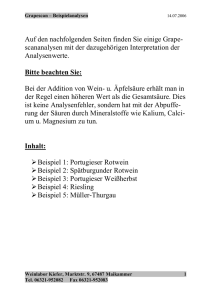 Beispielanalysen - Weinlabor Kiefer Maikammer, amtliche Analysen