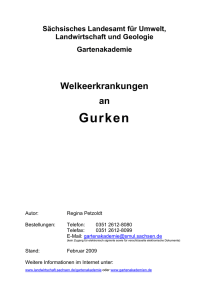 Welkeerkrankungen an Gurken PDF [Download