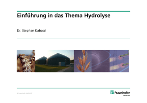 Einführung in das Thema Hydrolyse