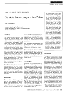 Deutsches Ärzteblatt 1980: A-895