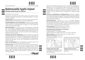 Salmonella typhi-Injeel