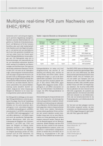 Multiplex real-time PCR zum Nachweis von EHEC/EPEC