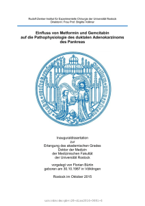 Einfluss von Metformin und Gemcitabin auf die