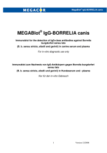 MEGABlot® IgG-BORRELIA canis