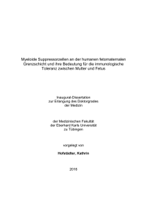 161212 Hofstädter_Kathrin_Dissertation_FINAL