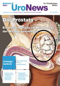 Die Prostata - Ev. Krankenhaus Witten