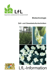 Die Publikation als PDF 1,0 MB - Bayerische Landesanstalt für