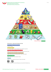 Lebensmittelpyramide mit ergänzenden Empfehlungen