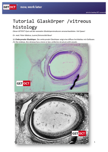 Tutorial Glaskörper /vitreous histology - get-oct
