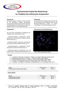 Datenblatt Topoisomerase-II - Zentrum für molekulare Onkologie