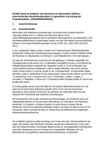 Zusammenfassung der SINS Studie