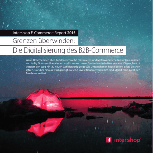 Die Digitalisierung des B2B-Commerce