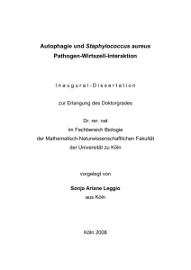 Autophagie und Staphylococcus aureus Pathogen-Wirtszell