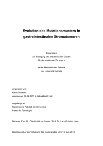 Evolution des Mutationsmusters in gastrointestinalen Stromatumoren