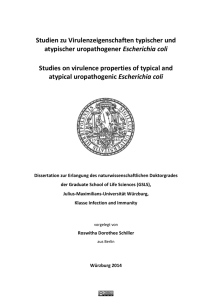 Schiller_Roswitha_Dissertation - OPUS Würzburg